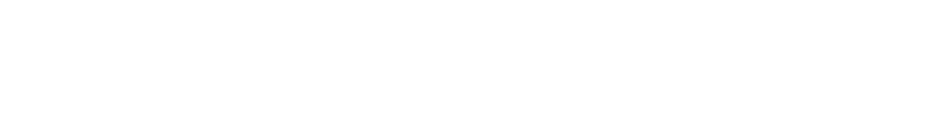 WiseData NPS